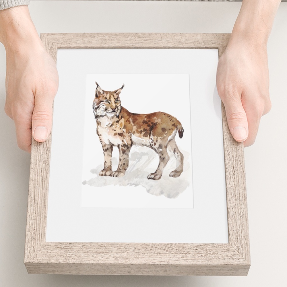 Wall Art Watercolor Lynx Bobcat Illustration Print Poster Unframed - Picture 11 of 17